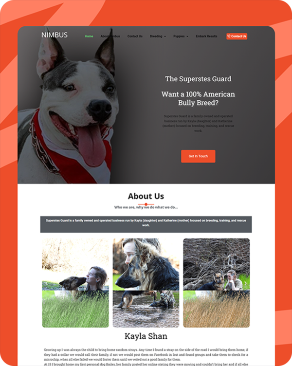 Nimus — American Bully breeding business website built by Lustro Creatives